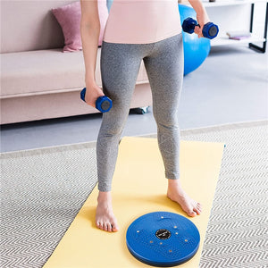 FITNESS TWISTER PLATE