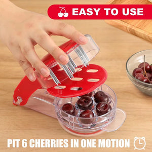 Portable Cherry pitting Seed Removal Tool