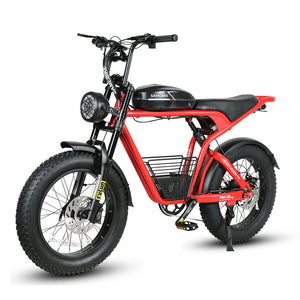 48v Lithium Mountain E-bike (EU)