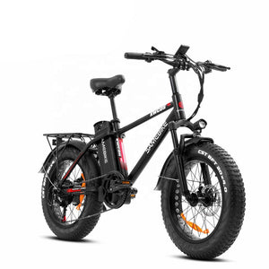 Hybrid Moter Folding Fat Tire Electric Bike (EU)