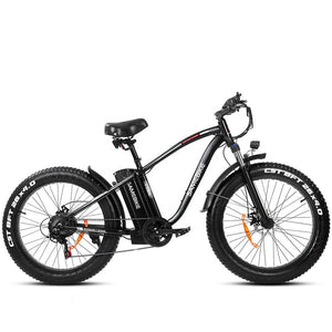 48V Lithium Ion Battery Fat Tire Ebike (CA)