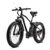 48V Lithium Ion Battery Fat Tire Ebike (CA)